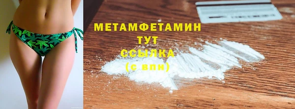 шишки Белокуриха