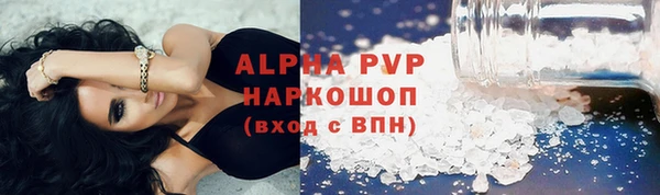 шишки Белокуриха
