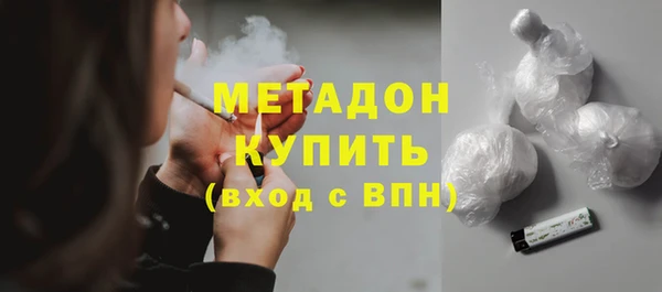 шишки Белокуриха