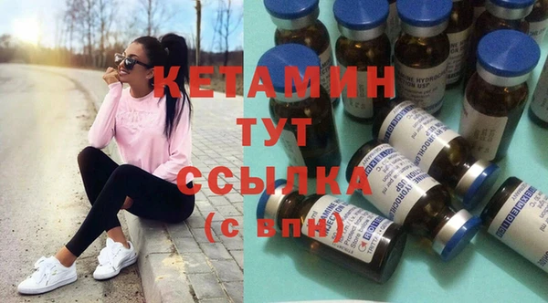 шишки Белокуриха