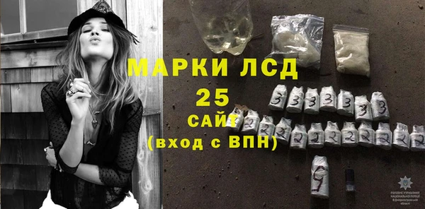 шишки Белокуриха