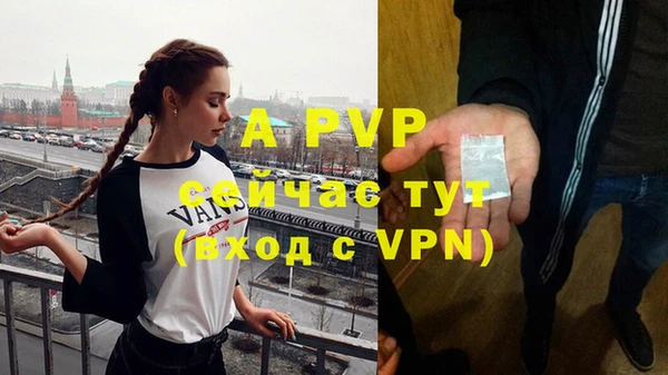 шишки Белокуриха