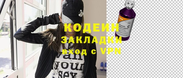 шишки Белокуриха
