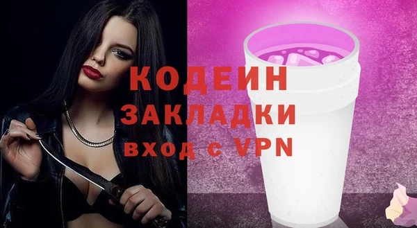 шишки Белокуриха