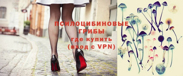 шишки Белокуриха