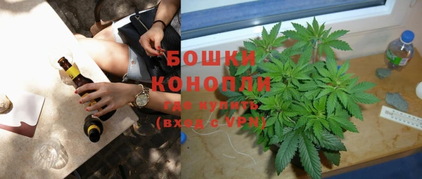 шишки Белокуриха